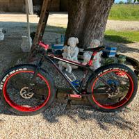 Fat bike