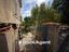 Immagine 22