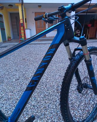 mtb front canyon carbon 