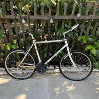 Bicicletta Gary Fisher Bici Mountain Bike 