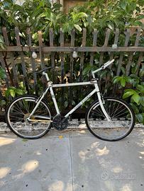 Bicicletta Gary Fisher Bici Mountain Bike 