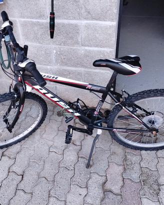 bicicletta 