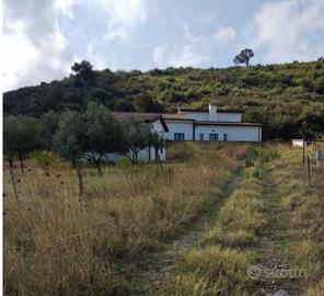 RGE 106/2019 Trib Patti - Lotto 1