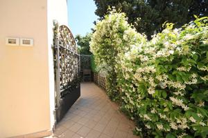 3 LOCALI A TRIESTE