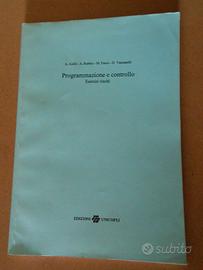 Programmazione e controllo - Esercizi svolti 1993