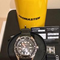Citizen promaster