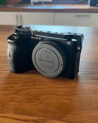 Sony a6600