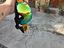 Immagine 1