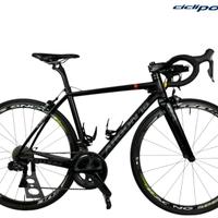 Argon 18 Gallium 31