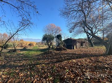 TER. RESIDENZIALE A SAN CESAREO