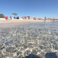 Appartamenti con uscita diretta lungomare davoli