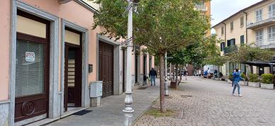 Zona pedonale settimo torinese