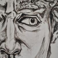 Particolare David di Michelangelo 