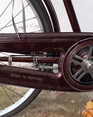 Bicicletta uomo