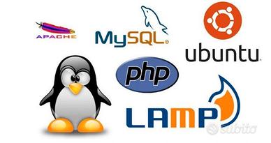 Programmatore senior