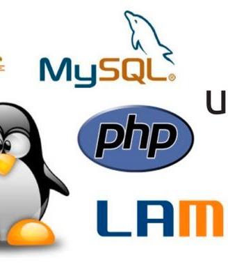 Programmatore senior