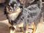 Immagine 3