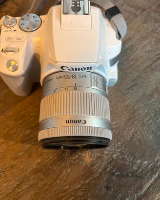 Canon eos250D