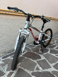 Bicicletta bambino 20
