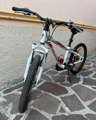 Bicicletta bambino 20