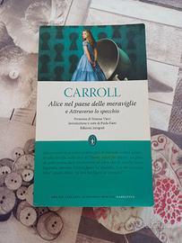 Alice nel paese delle meraviglie e attraverso lo s