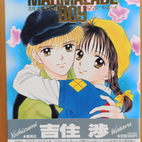 Libro di illustrazione manga-Marmalade Boy