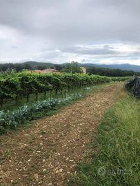 Terreno di 450 m² a Anghiari