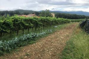 Terreno di 450 m² a Anghiari