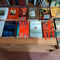 Spagnolo e sudamericano romanzi e rivoluzione