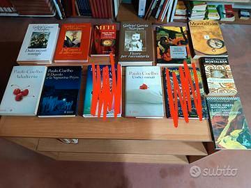 Spagnolo e sudamericano romanzi e rivoluzione