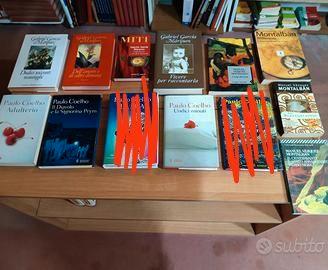 Spagnolo e sudamericano romanzi e rivoluzione
