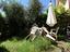 Immagine 16