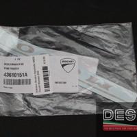 Adesivo decalco fianchetto M600 Ducati Monster 600