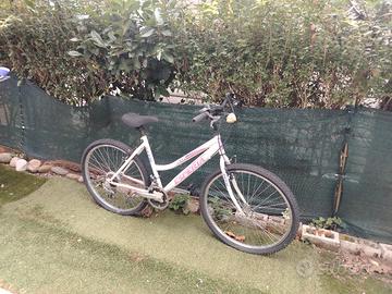bicicletta donna