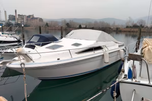 Cabinato a motore Sea Ray