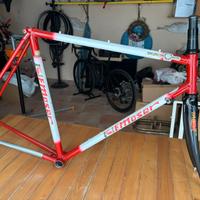 Telaio Moser in acciaio