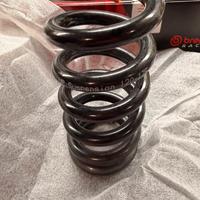 Molla sospensione posteriore Triumph Speed Triple