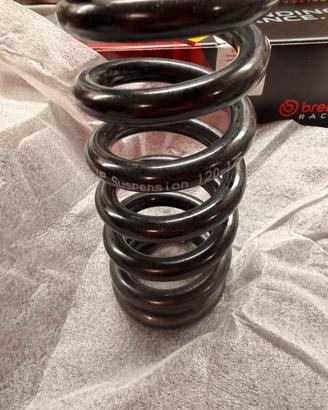 Molla sospensione posteriore Triumph Speed Triple