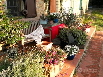 Colonica vendita porciano