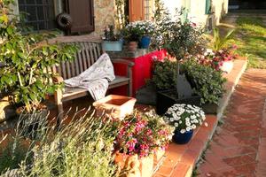 Colonica vendita porciano