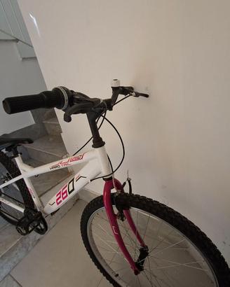 Bici donna