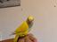 Immagine 2
