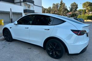Tesla Model Y Long Range RWD