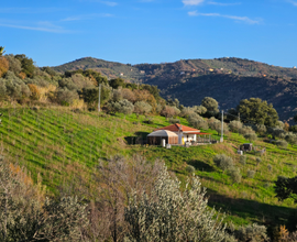 Villetta con ampio terreno