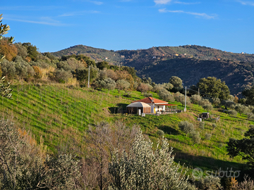 Villetta con ampio terreno