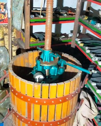 Torchio Martinetto David 55