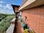 Immagine 13
