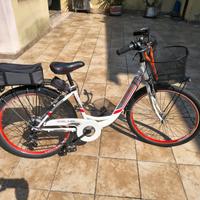 Bicicletta elettrica