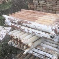 Radiatori ghisa liberty