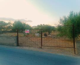 Terreno Agricolo [Rif: S-06]